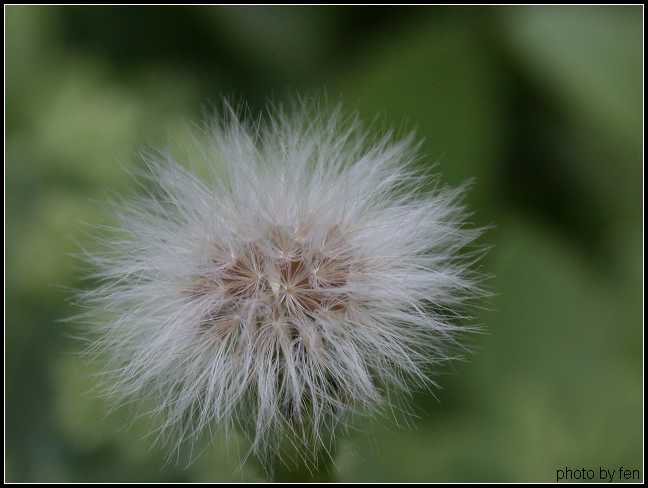 ����·�̻����е�Ұ��