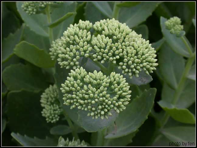 ����·�̻����е�Ұ��