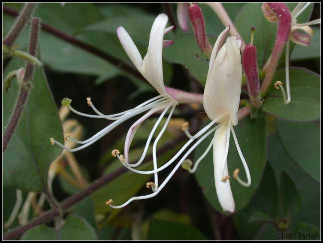 ����·�̻����е�Ұ��