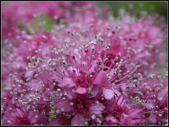 ����·�̻����е�Ұ��