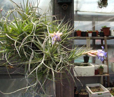 ��������----�ϻ���