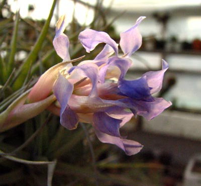 ��������----�ϻ���