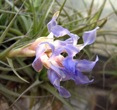 ��������----�ϻ���