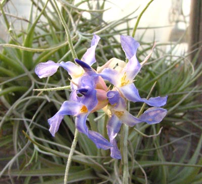 ��������----�ϻ���