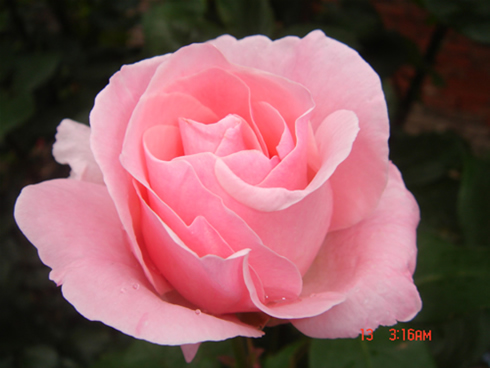 �Ҽҵ��¼�