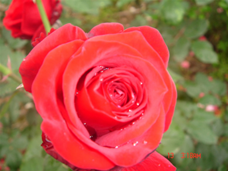 �Ҽҵ��¼�