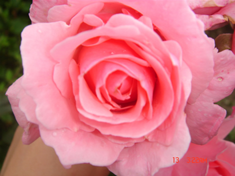 �Ҽҵ��¼�