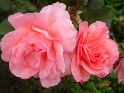 �Ҽҵ��¼�