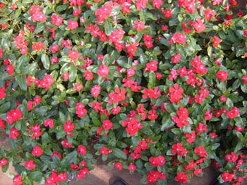 [İ��6����]Ԥ��7-9�¿����ݻ������Ź����򣡣�