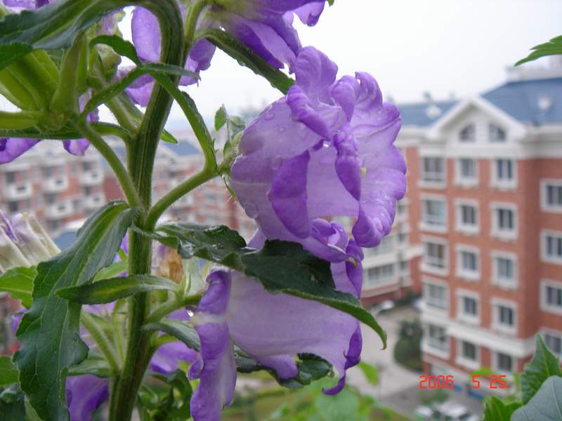 ��ɫ���ɫ��P4���£�