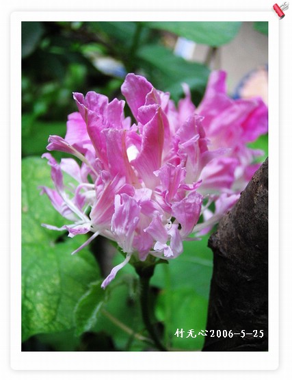 �����ţ��P3����ţ��һ�俪��Ҳ���á���