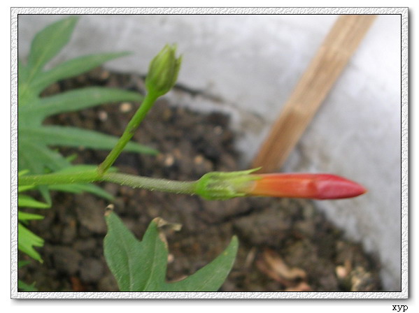 ���ܵ��¼�