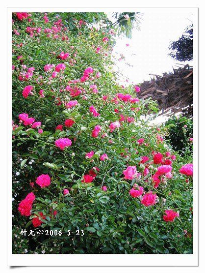 ��һ��������