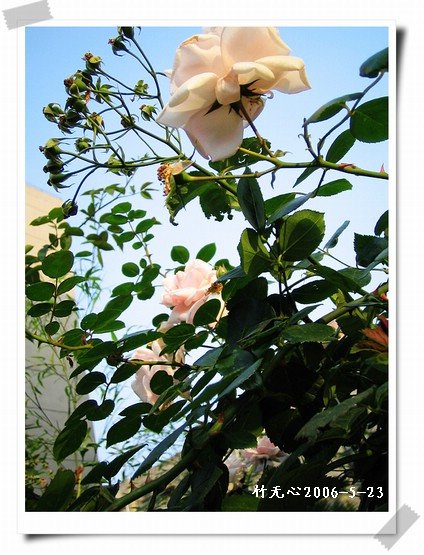 ��һ��������