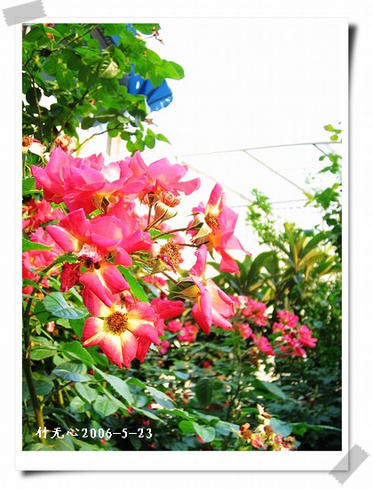 ��һ��������