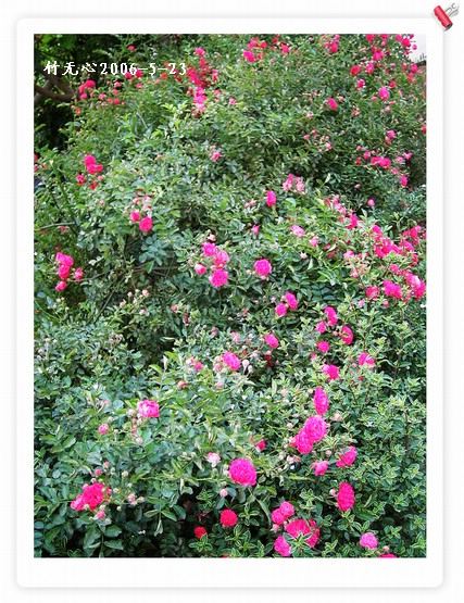 ��һ��������