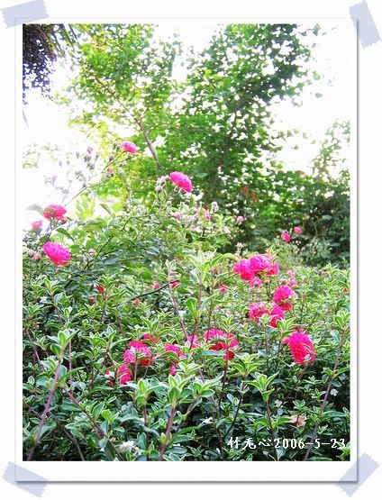 ��һ��������