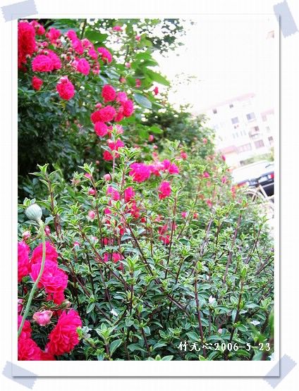 ��һ��������