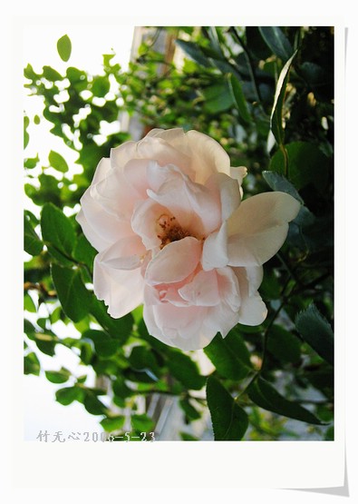 ��һ��������