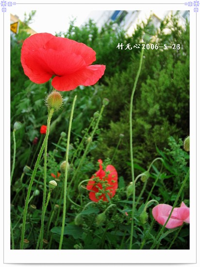 ��һ��������