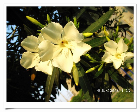 ��һ��������