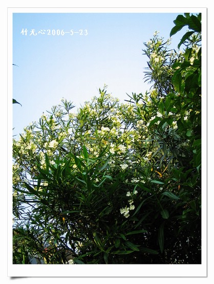 ��һ��������