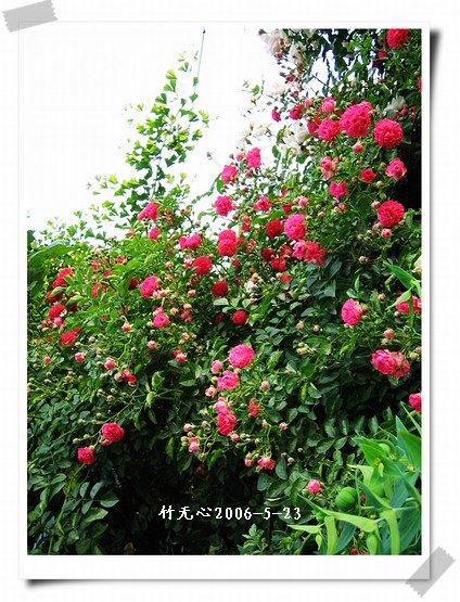 ��һ��������