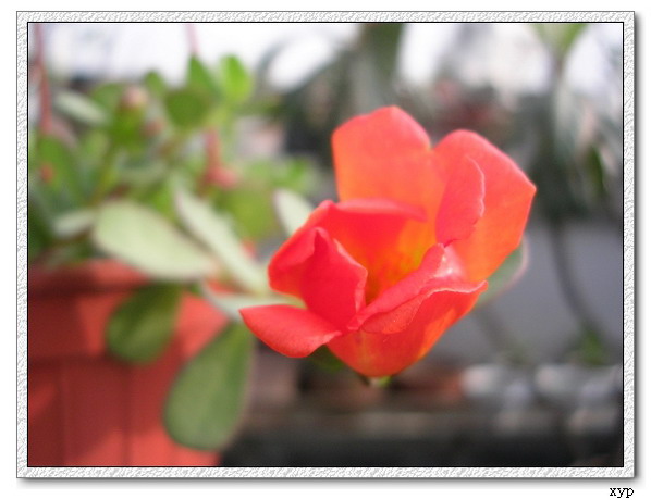 ���ĵ�һ��̫����