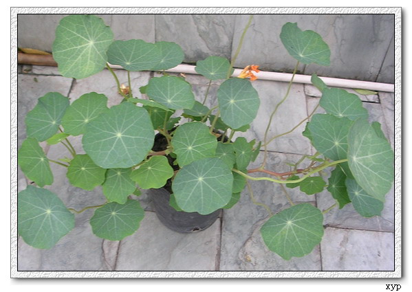 ���겥�ֵĺ�����