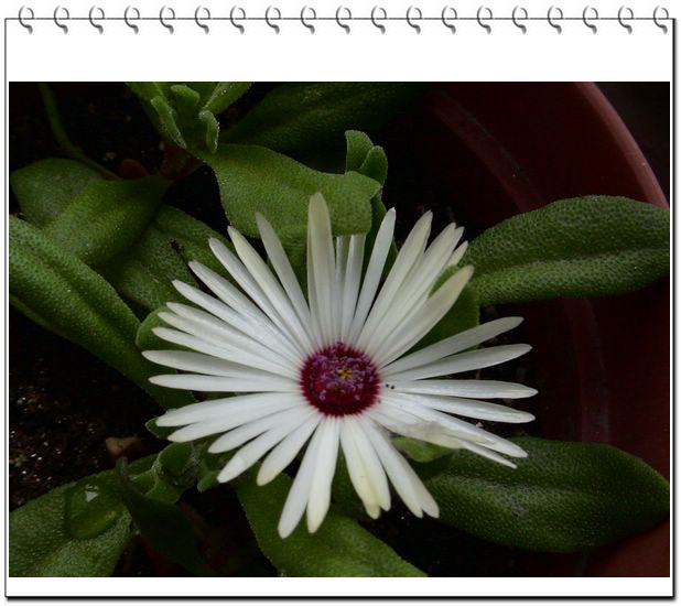 06��һЩ����--���л�