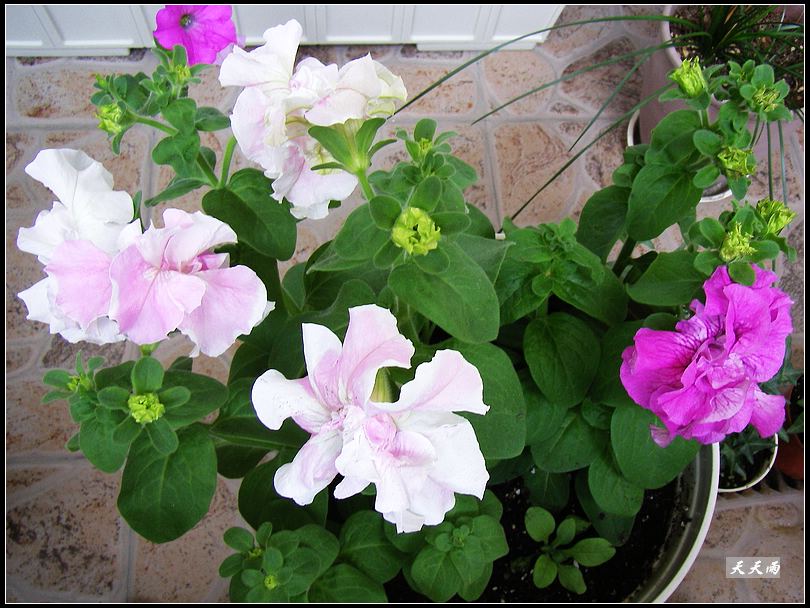 �Ź���ţ��������������쿪���ˣ�