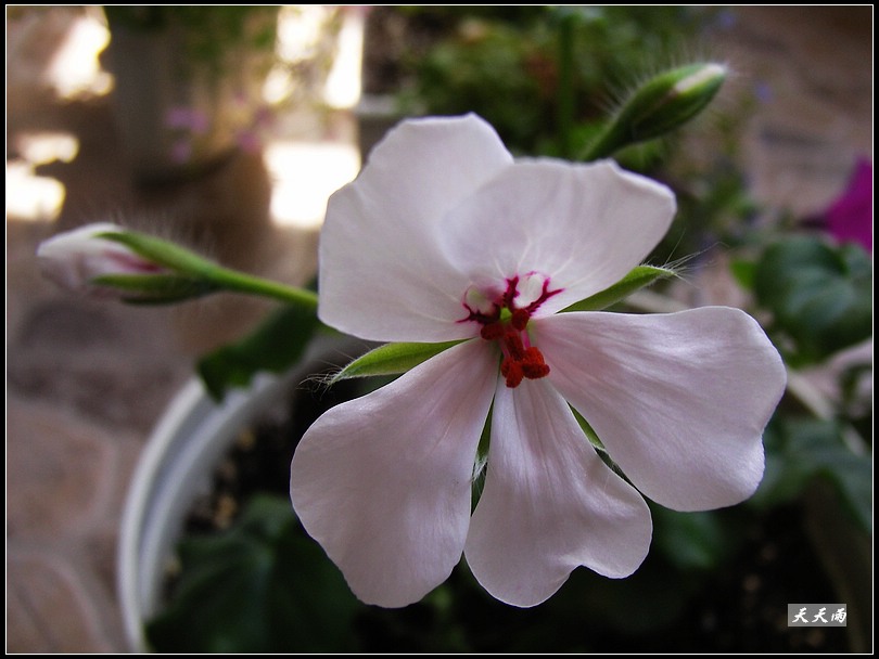 �Ź���ţ��������������쿪���ˣ�