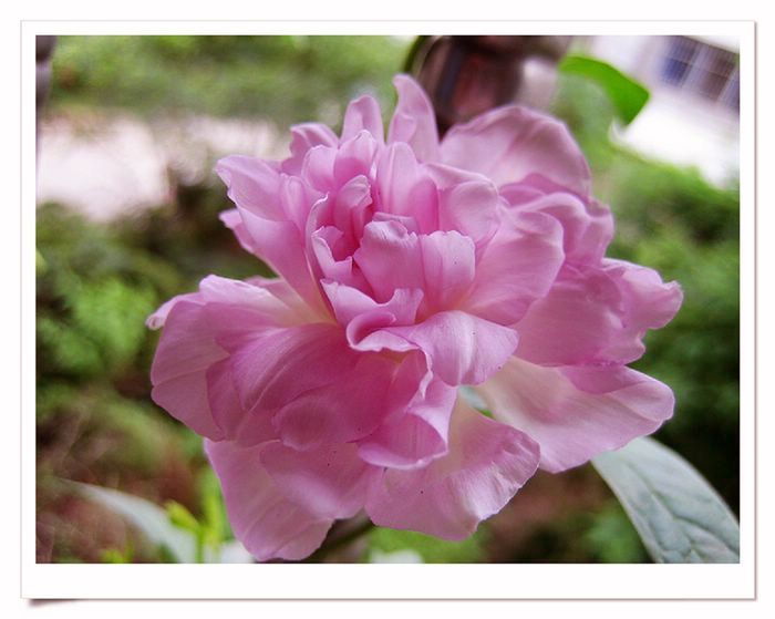 ��֦ĵ���л�����~~