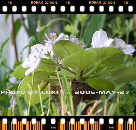 ��[2006��] ��������~~~����~~~