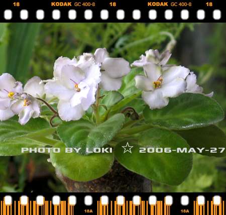 ��[2006��] ��������~~~����~~~