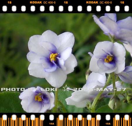 ��[2006��] ��������~~~����~~~