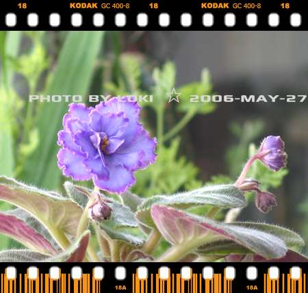 ��[2006��] ��������~~~����~~~