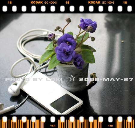 ��[2006��] ��������~~~����~~~