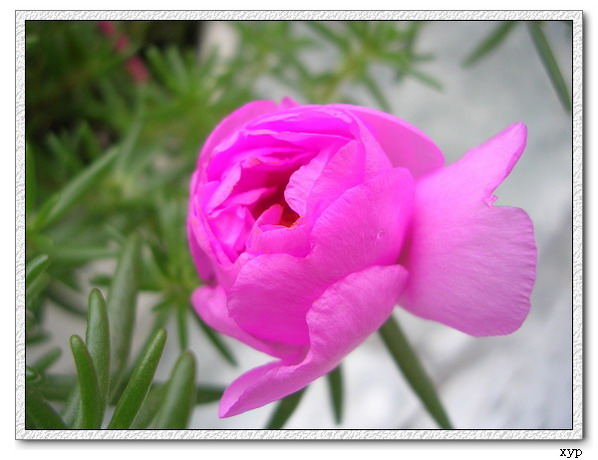 ���ĵ�һ��̫����