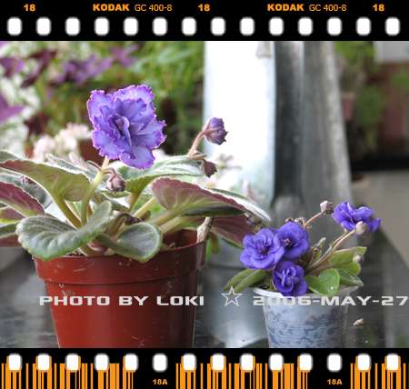 ��[2006��] ��������~~~����~~~