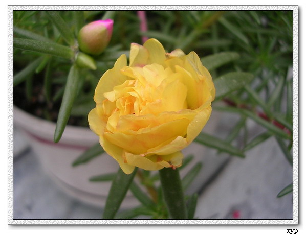 ���ĵ�һ��̫����