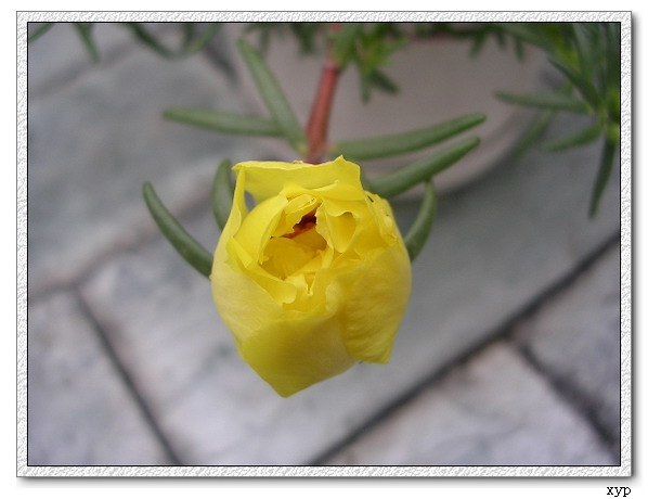 ���ĵ�һ��̫����