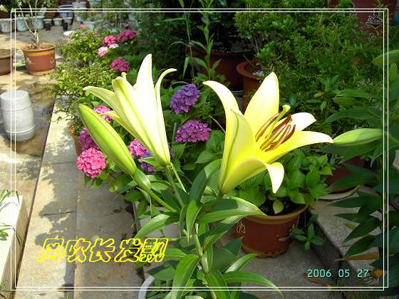 ѫ�¾տ��˺���������24�ո���ţ����һ���»�ɫ