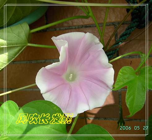 ѫ�¾տ��˺���������24�ո���ţ����һ���»�ɫ