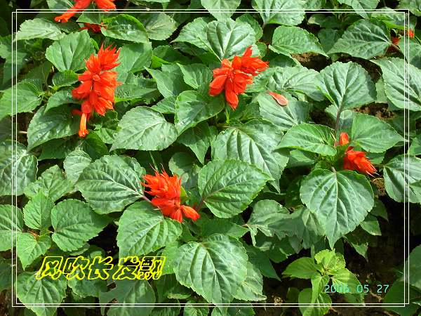 ѫ�¾տ��˺���������24�ո���ţ����һ���»�ɫ