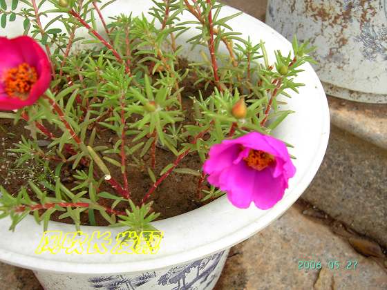 ѫ�¾տ��˺���������24�ո���ţ����һ���»�ɫ