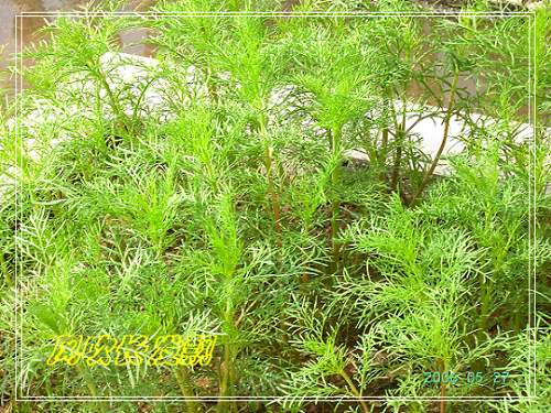 ѫ�¾տ��˺���������24�ո���ţ����һ���»�ɫ