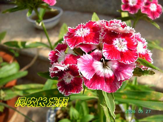 ѫ�¾տ��˺���������24�ո���ţ����һ���»�ɫ