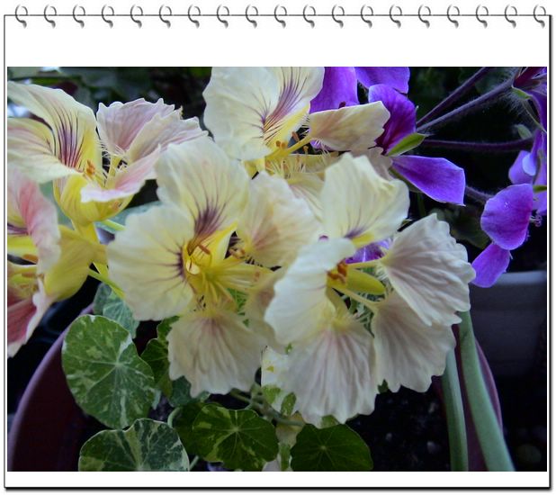 06��һЩ����--���л�