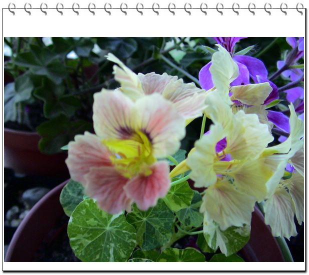 06��һЩ����--���л�